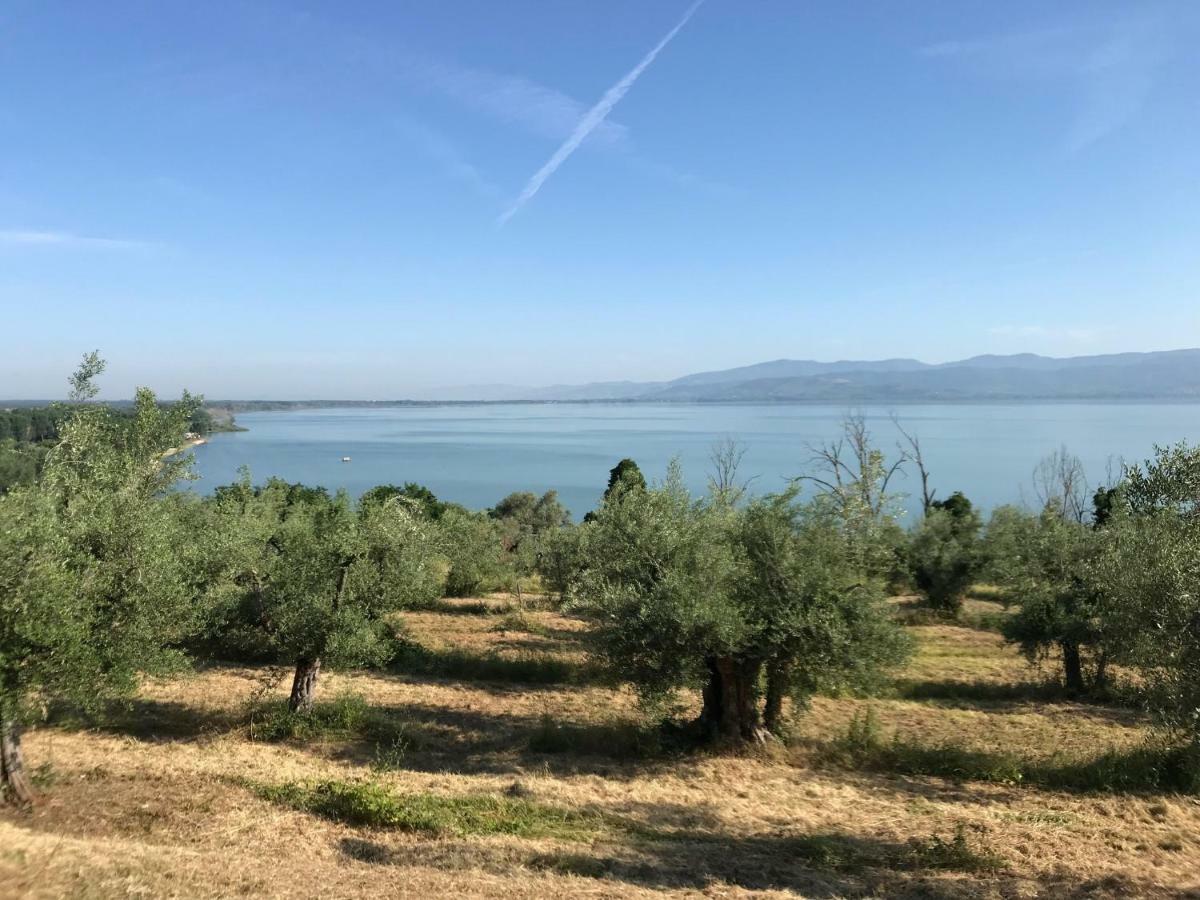I See Lake كاستيغليون ديل لاغو المظهر الخارجي الصورة
